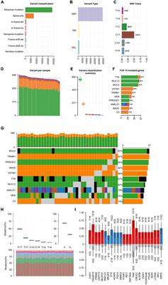 Exploration of Mutated Genes and Prediction of Potential Biomarkers for Childhood-Onset Schizophrenia Using an Integrated Bioinformatic Analysis